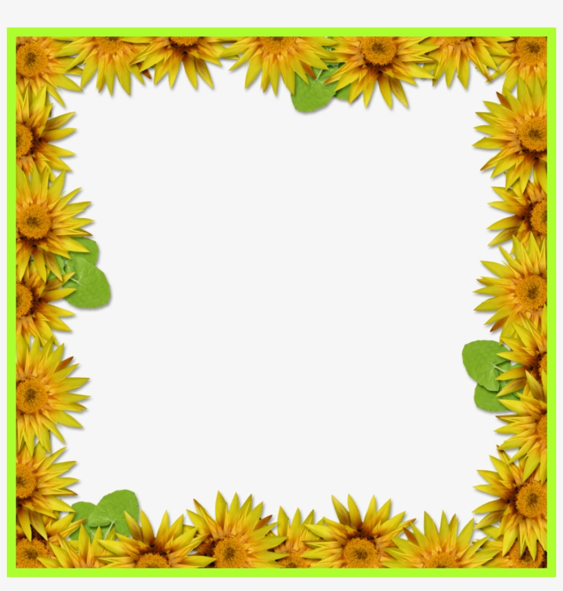Sunflower Border Png - Yellow Flower Frame Png, transparent png #908841