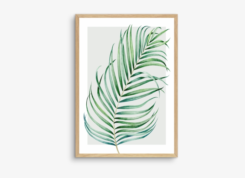 Watercolour Palm On Grey No 1 - Watercolor Painting, transparent png #908998