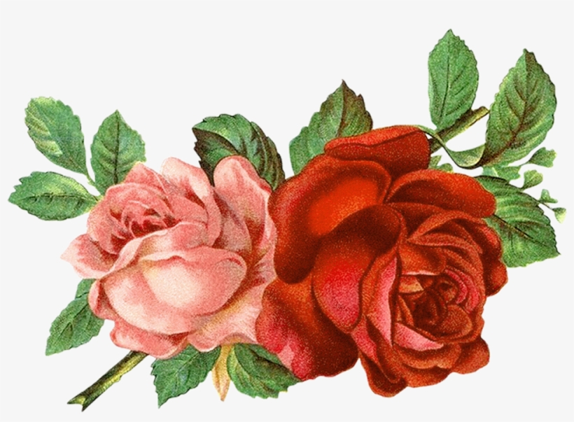 Red And Black Gradient French Floral Frame Png Picture, - Old Rose Informant By Brent C Dickerson, transparent png #909021