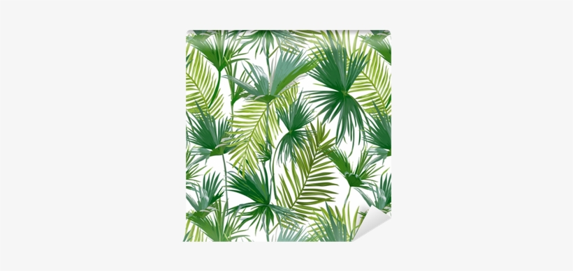 Palms Tree, transparent png #909051