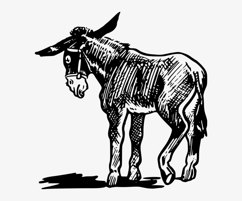 Donkey Clipart Png, transparent png #909467