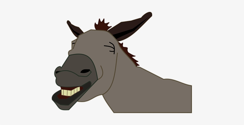 Burro Donkey Jackass Donkey Donkey Donkey - Donkey Head Clip Art, transparent png #909506
