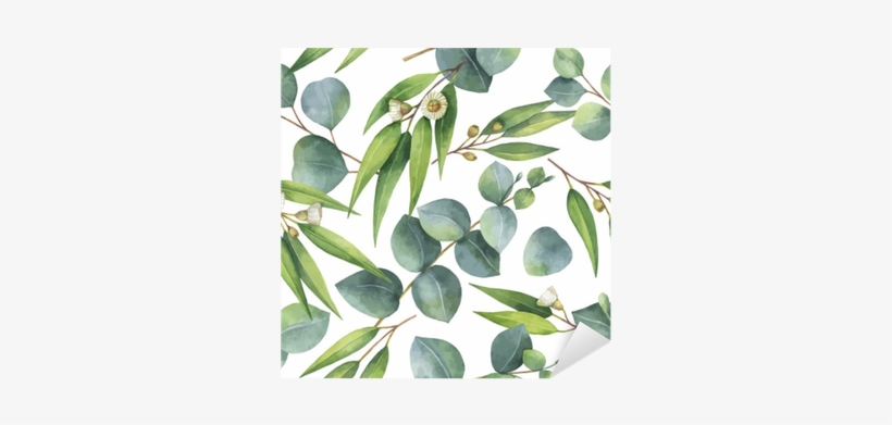 Watercolor Vector Seamless Pattern With Eucalyptus - Kaisercraft Open Road Bushwalk Paper, transparent png #909570