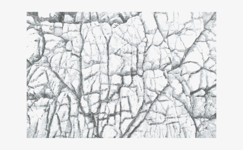 Vector Transparent Download Environment Textures Show - Library, transparent png #909717