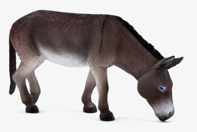 Mojo Donkey Toys, transparent png #909748