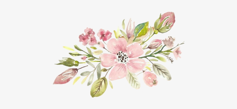 Mountain Laurel, transparent png #909841