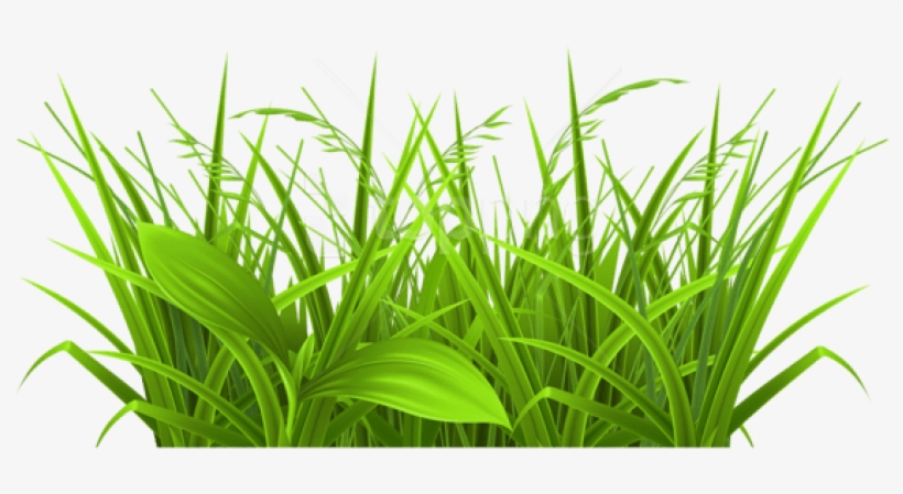 Free Png Download Decorative Grass Png Images Background - Grass Clipart, transparent png #9000211