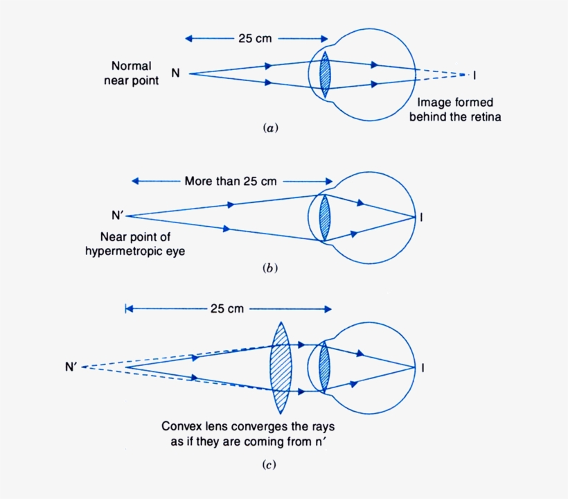 631 X 640 1 0 - Diagram, transparent png #9003298