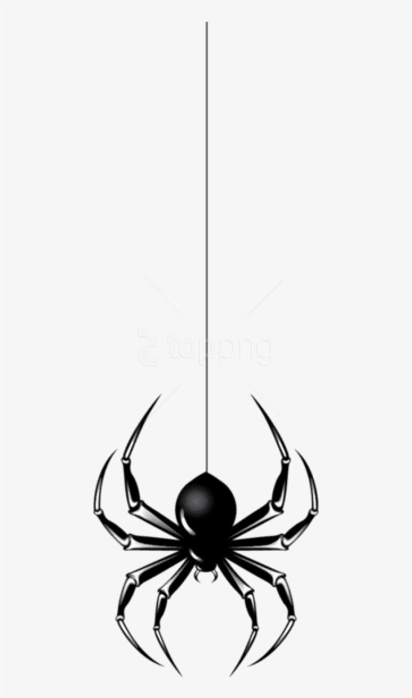 Free Png Download Halloween Black Spider Png Images - Spider Hanging Clip Art, transparent png #9003613