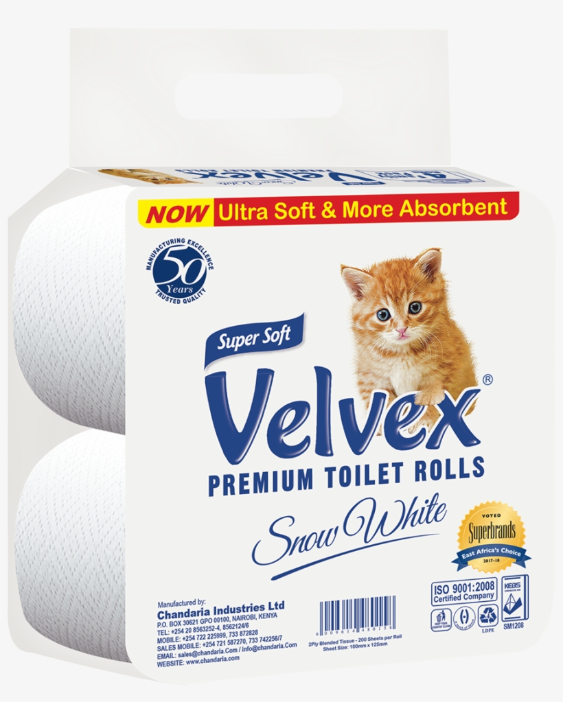 Velvex 2ply 4pack - Domestic Short-haired Cat, transparent png #9004252