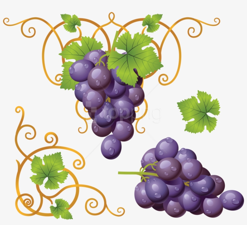 Free Png Download Grapes Clipart Png Photo Png Images - Clipart Grapes Png, transparent png #9004338