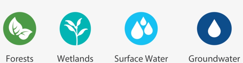 There Are Four Primary Indicators Measured In The Watershed - Circle, transparent png #9004904