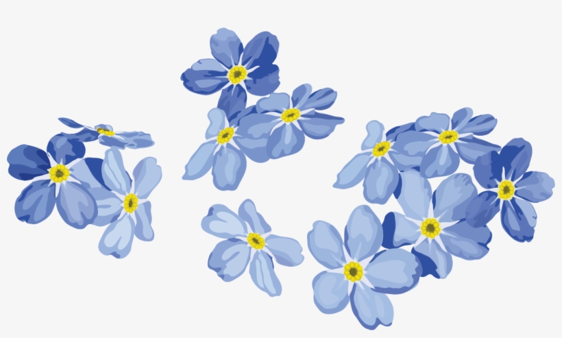 Forget Me Not Png Image Background - Vector Png Flower Png, transparent png #9005312