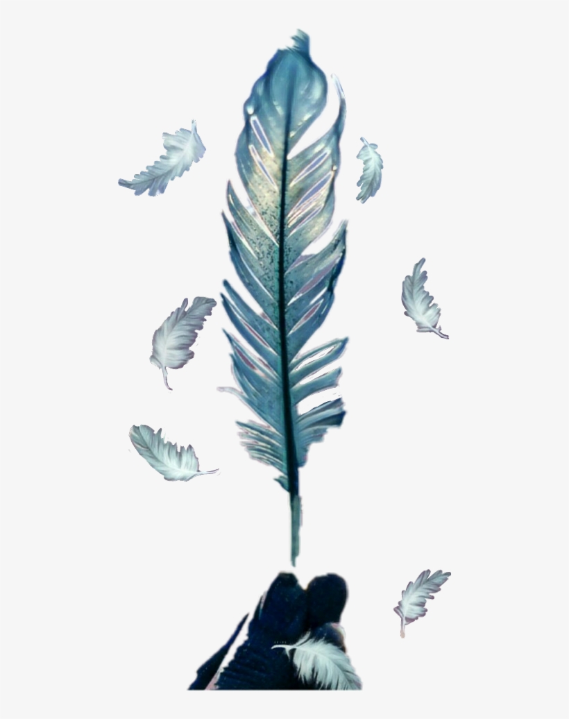 Feather, transparent png #9005390