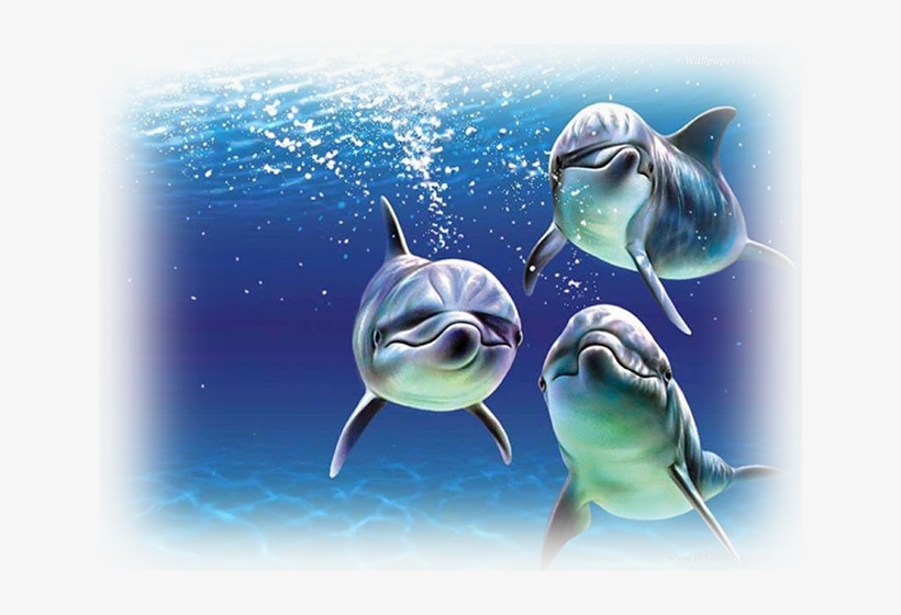 Welcome Friends - Sowar Jamila, transparent png #9005417