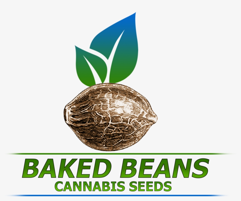 Baked Beans Cannabis Seeds - Poster, transparent png #9006639