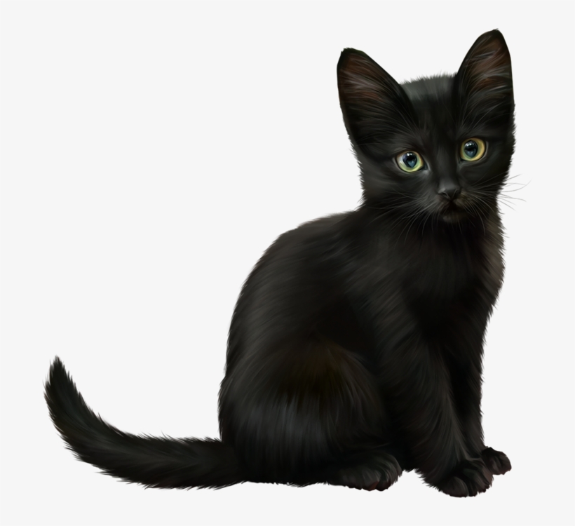 1 - Cat, transparent png #9006876