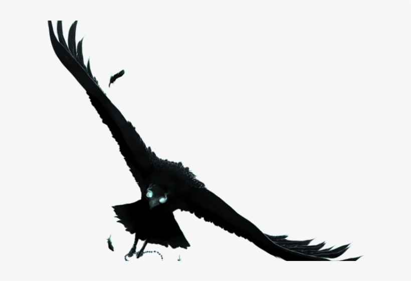 Drawn Raven Mid Flight - Anime Raven Png, transparent png #9007509