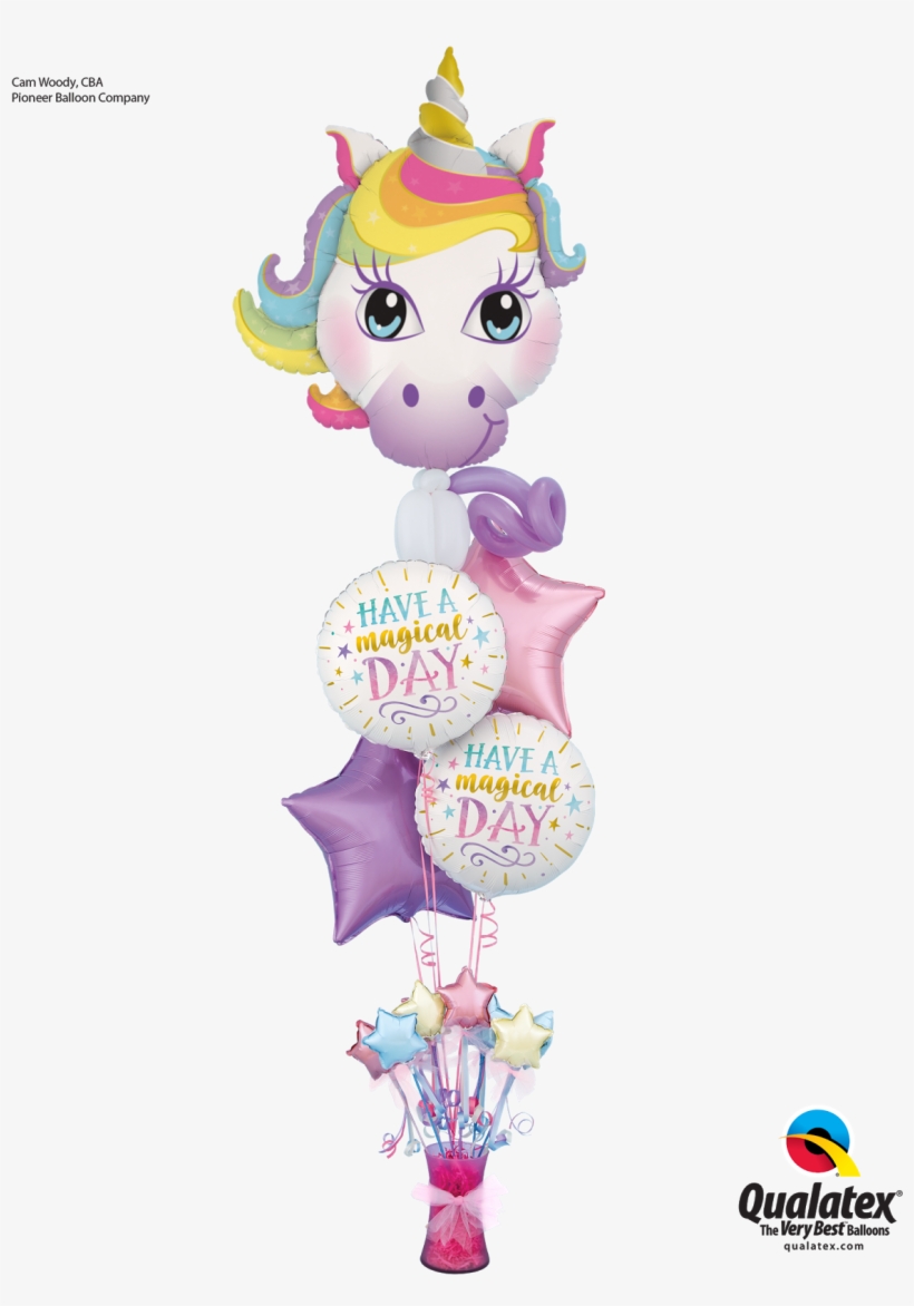 Display By Cam Woody - Licorne Arc En Ciel, transparent png #9007968