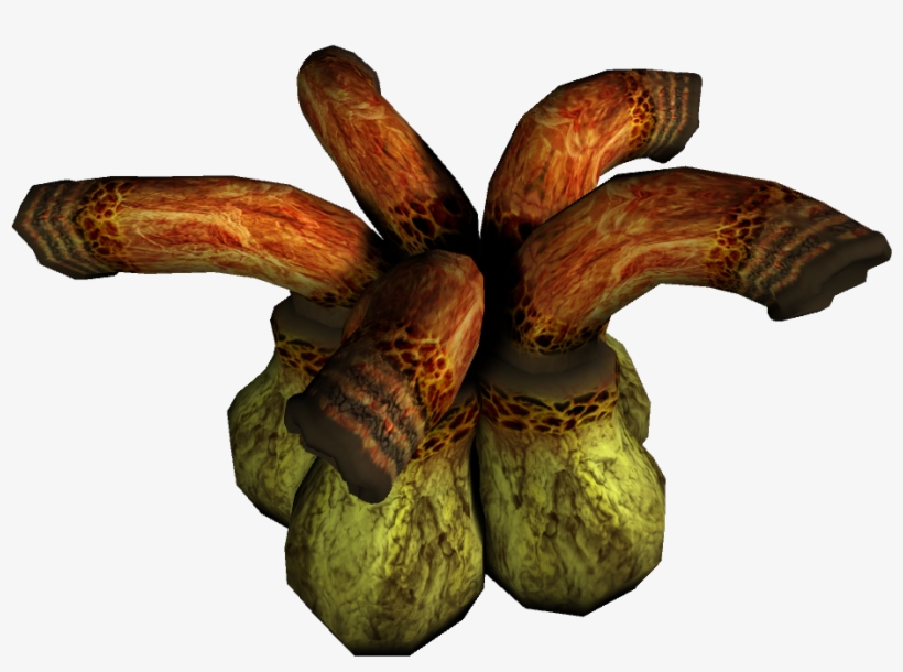 Ropa - Gourd, transparent png #9011865