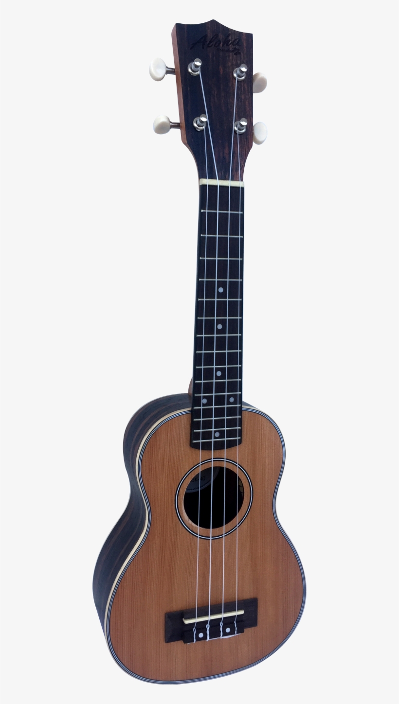 Nueva Línea - Acoustic Guitar, transparent png #9012047