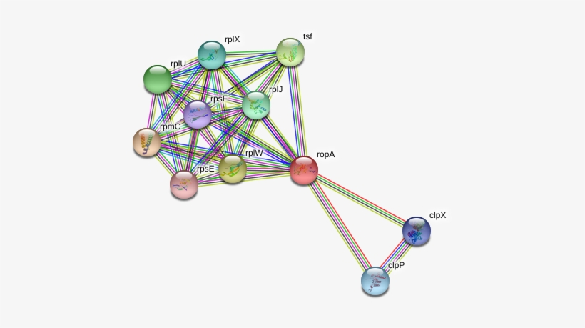 Circle, transparent png #9012093