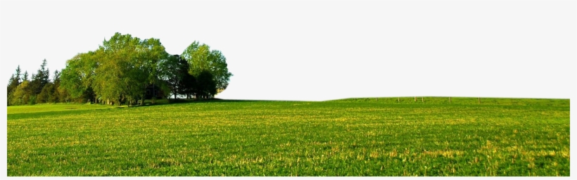 Footer 10 Sep 2014 - Field, transparent png #9012708