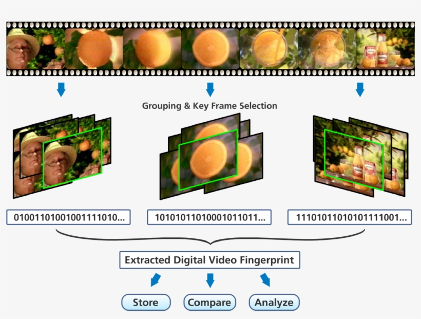 And Granularity Of Fingerprints To Match Specific Use - Video Fingerprint, transparent png #9013391
