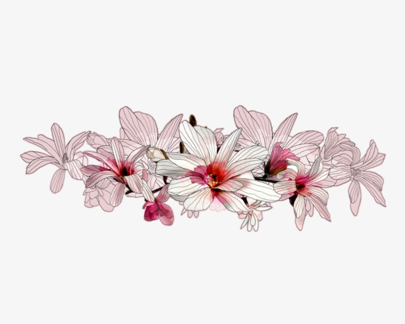 Http - //www - Murando - 1 - Png - V Magnolia - Ramo - Cherry Blossom, transparent png #9014426