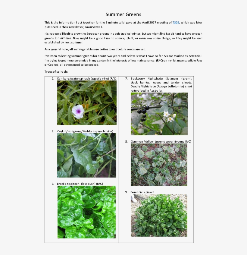 Pdf - Common Mallow, transparent png #9016794