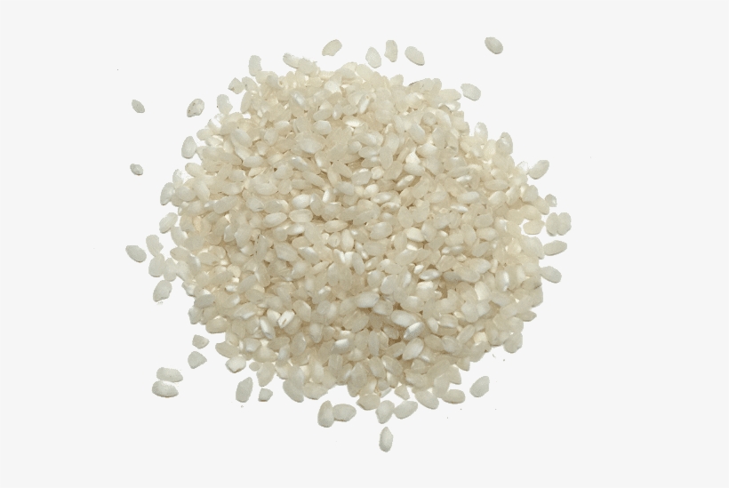 Arroz Bomba - Harina De Trigo Png, transparent png #9016833