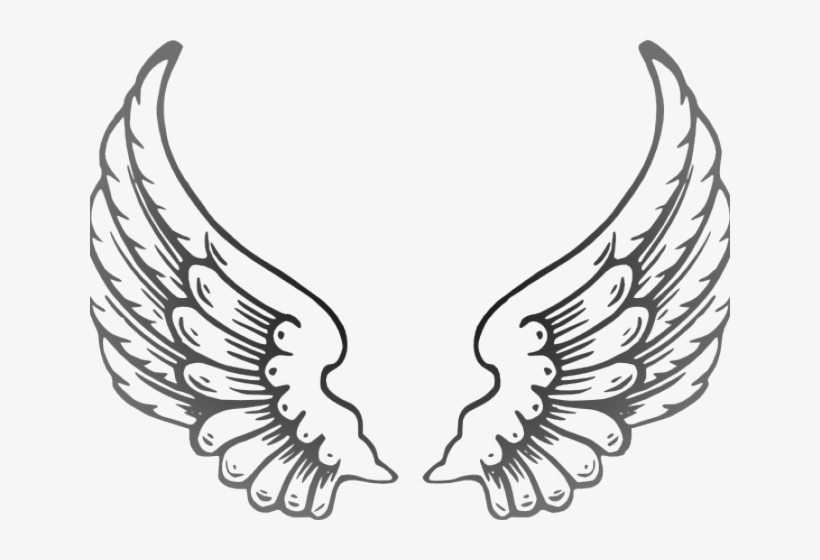 Angel Wings Png Outline, transparent png #9017207