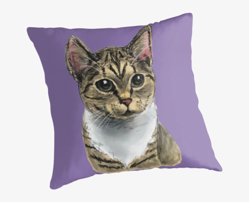 This Is A Pencil Drawing Of A Tabby Cat With Large - Cat, transparent png #9017888