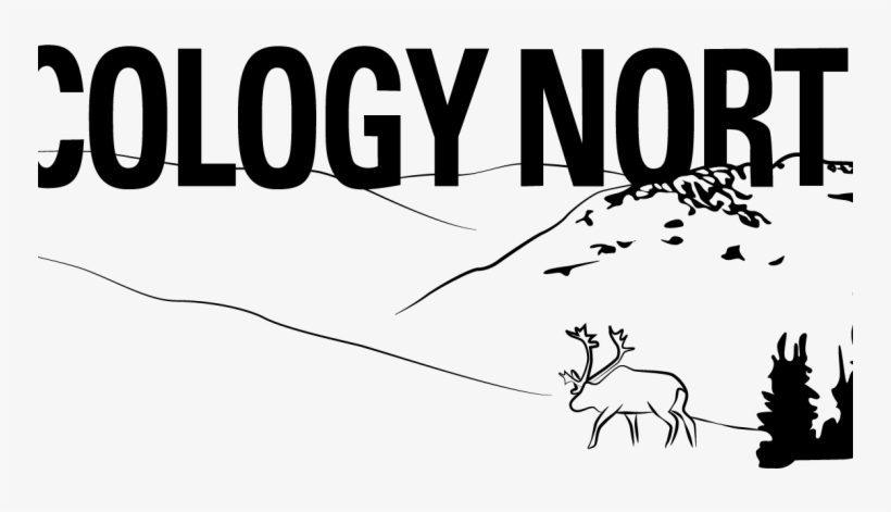 Canadian Nobel Prize Nominee Visits Yellowknife - White-tailed Deer, transparent png #9018387