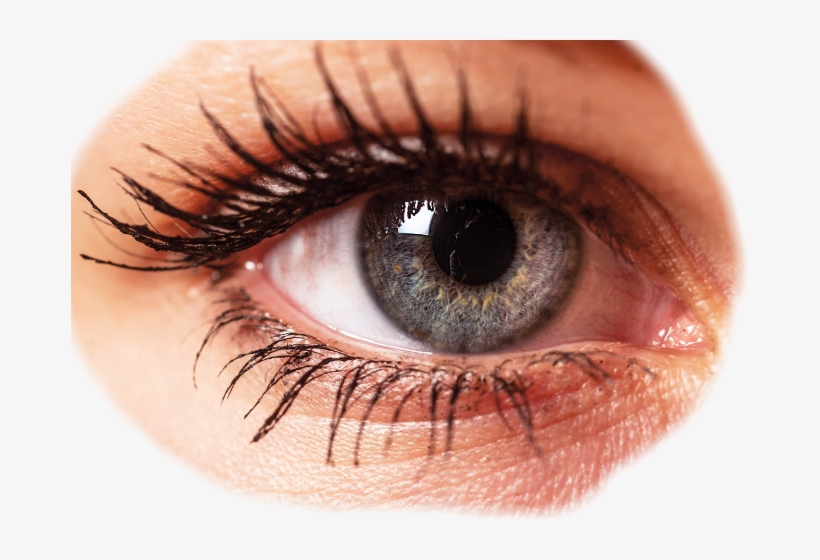 Dilated Eyes In Love, transparent png #9018672