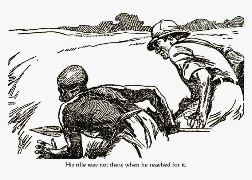 Illustration - Sketch, transparent png #9018864