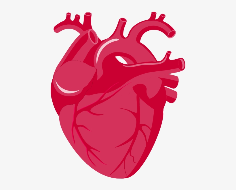Rate Clipart Heart Failure - Insuficiencia Cardiaca Png, transparent png #9019192