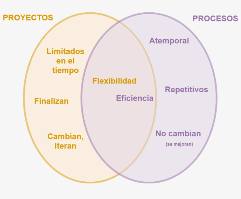 Conjunto Resultante Proyecto Vs Proceso - Alay, transparent png #9020680