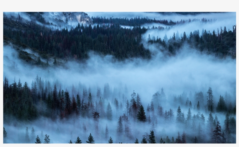 Обои На Телефон Природа, transparent png #9022897