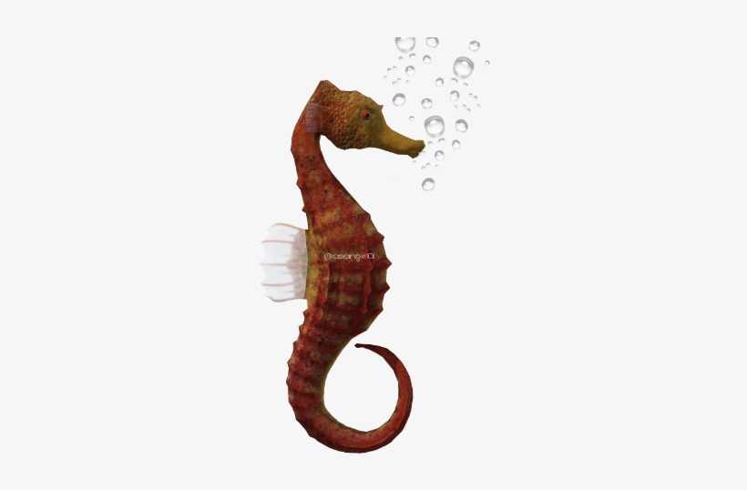 Seahorse With Transparent Background, transparent png #9022898