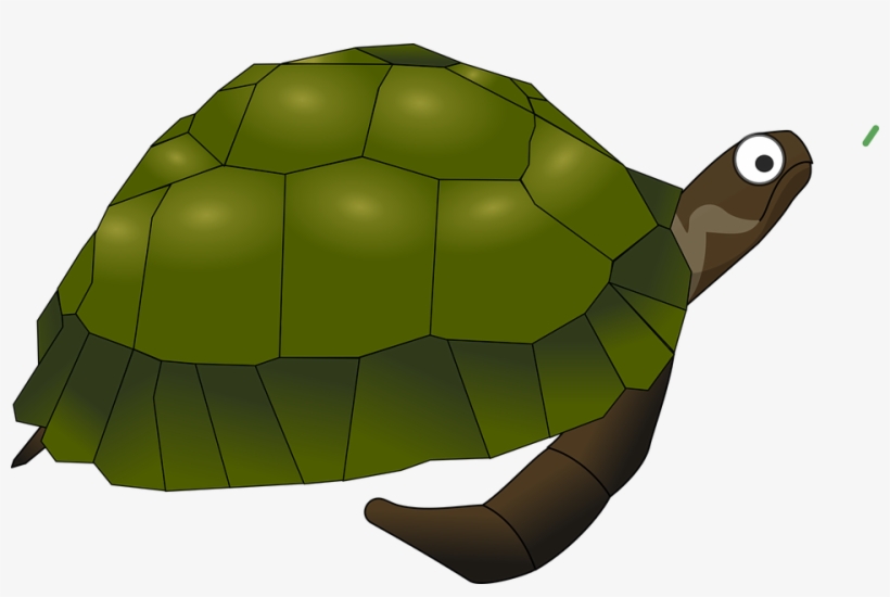 Forest Clipart Turtle - Sea Turtle Clip Art, transparent png #9025061