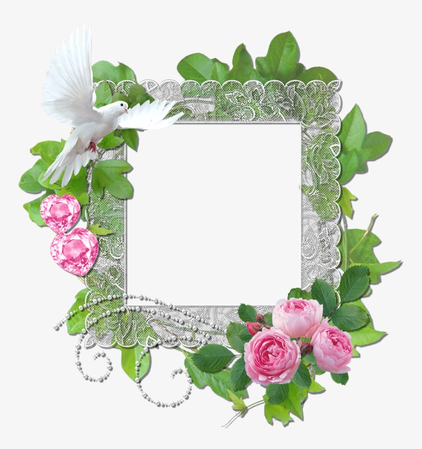 Green Frame Freebie - Green Rose Frame Png, transparent png #9026246