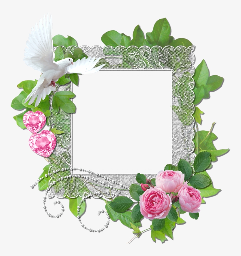 Green Frame Freebie - Green Rose Frame Png - Free Transparent PNG ...