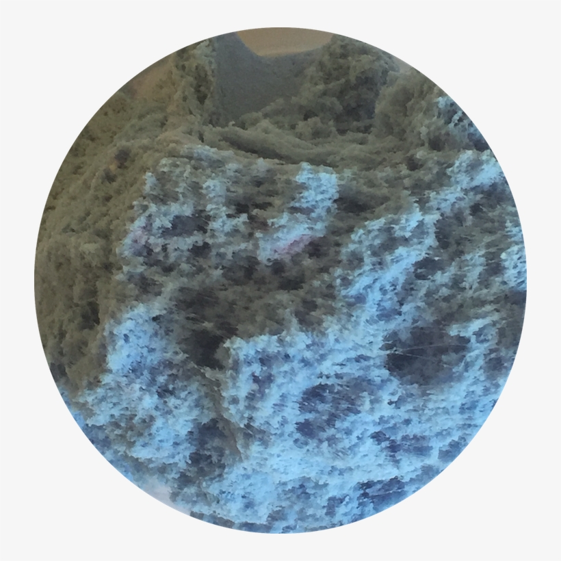 Img 9515 Small - Circle, transparent png #9026886