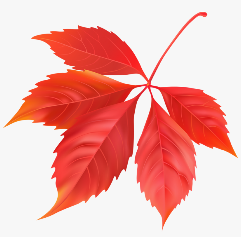 Portable Network Graphics, transparent png #9027443