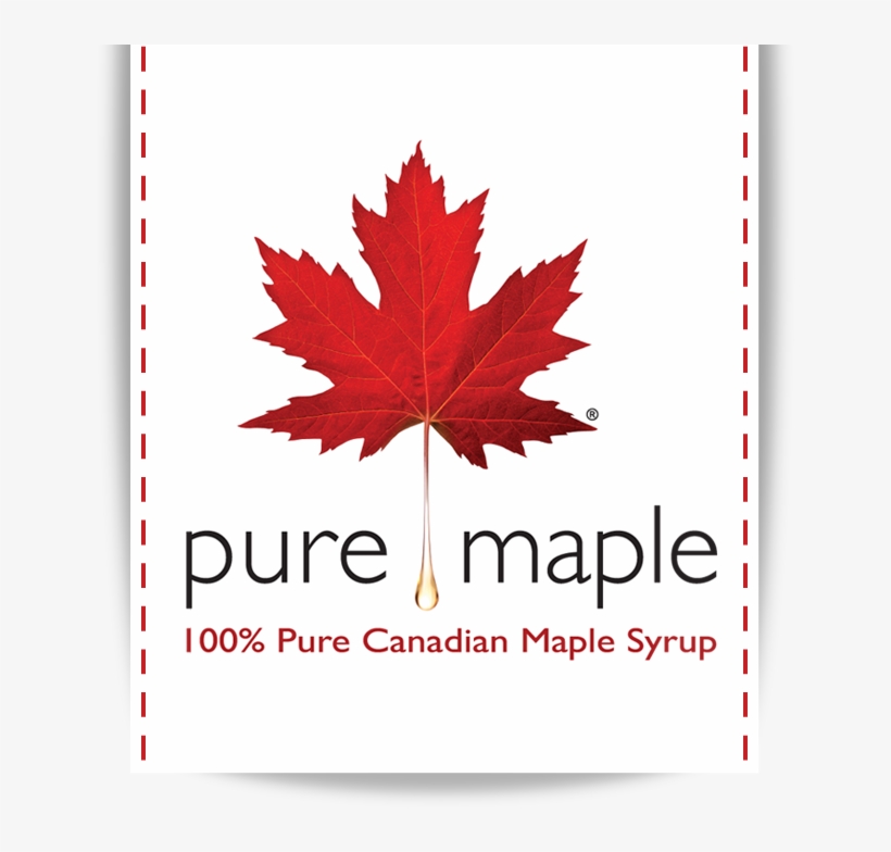 Pure Maple Logo - Goblin Kdrama Art, transparent png #9027562