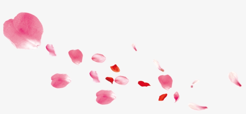 Falling Pink Petals Transpa Png Clipart Free Ya - Mid-autumn Festival, transparent png #9028345