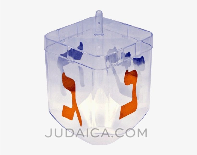 Animal, transparent png #9028919