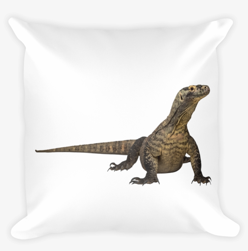 Komodo-dragon Print Square Pillow - Komodo Dragon, transparent png #9029869