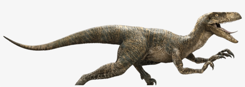 Jurassic World Dinosaurs Png, transparent png #9029987